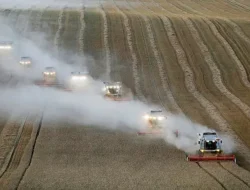 Ekspor Gandum Rusia Tembus Rekor Tertinggi, Penadah Terbesarnya Anggota Baru BRICS